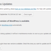 How to do Regular WordPress updates